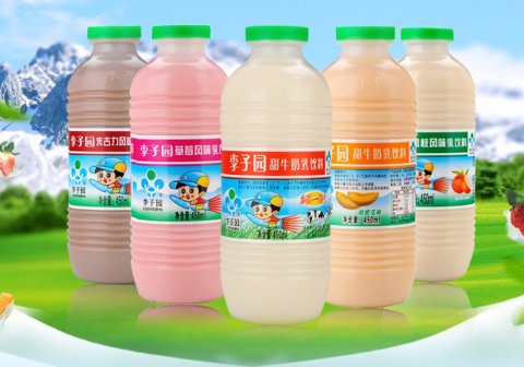 浙江李子园食品股份有限公司