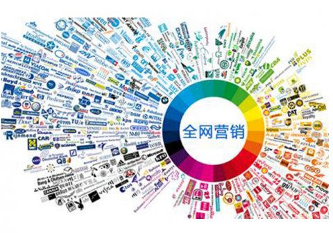 永康百度公司电话是多少，手机：15858980231，金华市一鼎信息技术有限公司